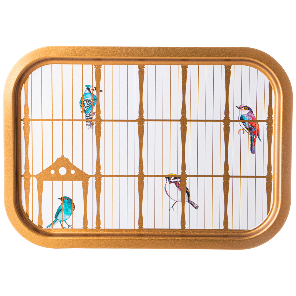 ПОДНОС, PARADISE BIRD,  28, 5Х40 СМ