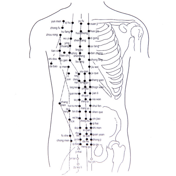 Массажер для тела "Meridian" вакуумный, 220В