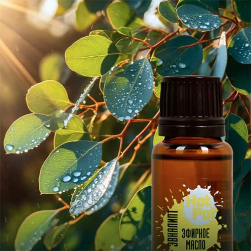 Масло эфирное "ЭВКАЛИПТ"  HOT POT 15мл (3/30)