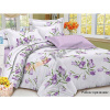 Комплект постельного белья 2-ый "Satin collection(прост.180х215,под.175х215,нав.2шт70х70Робк.признан