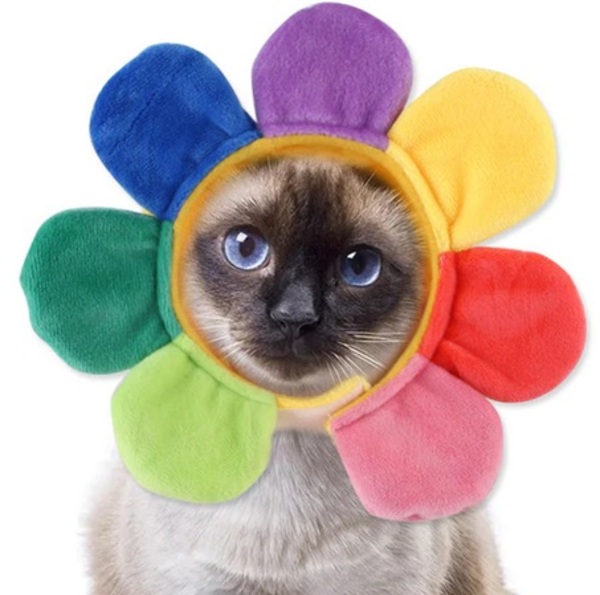 Шапка для собак и кошек "Ромашка", цвет как на фото, р ХL