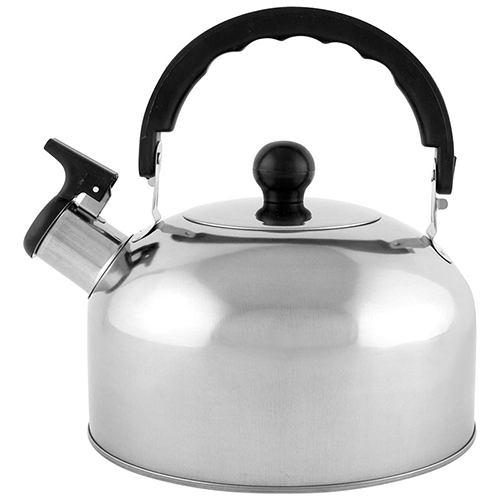 Чайник CASUAL 2,5л, нерж сталь со свистком