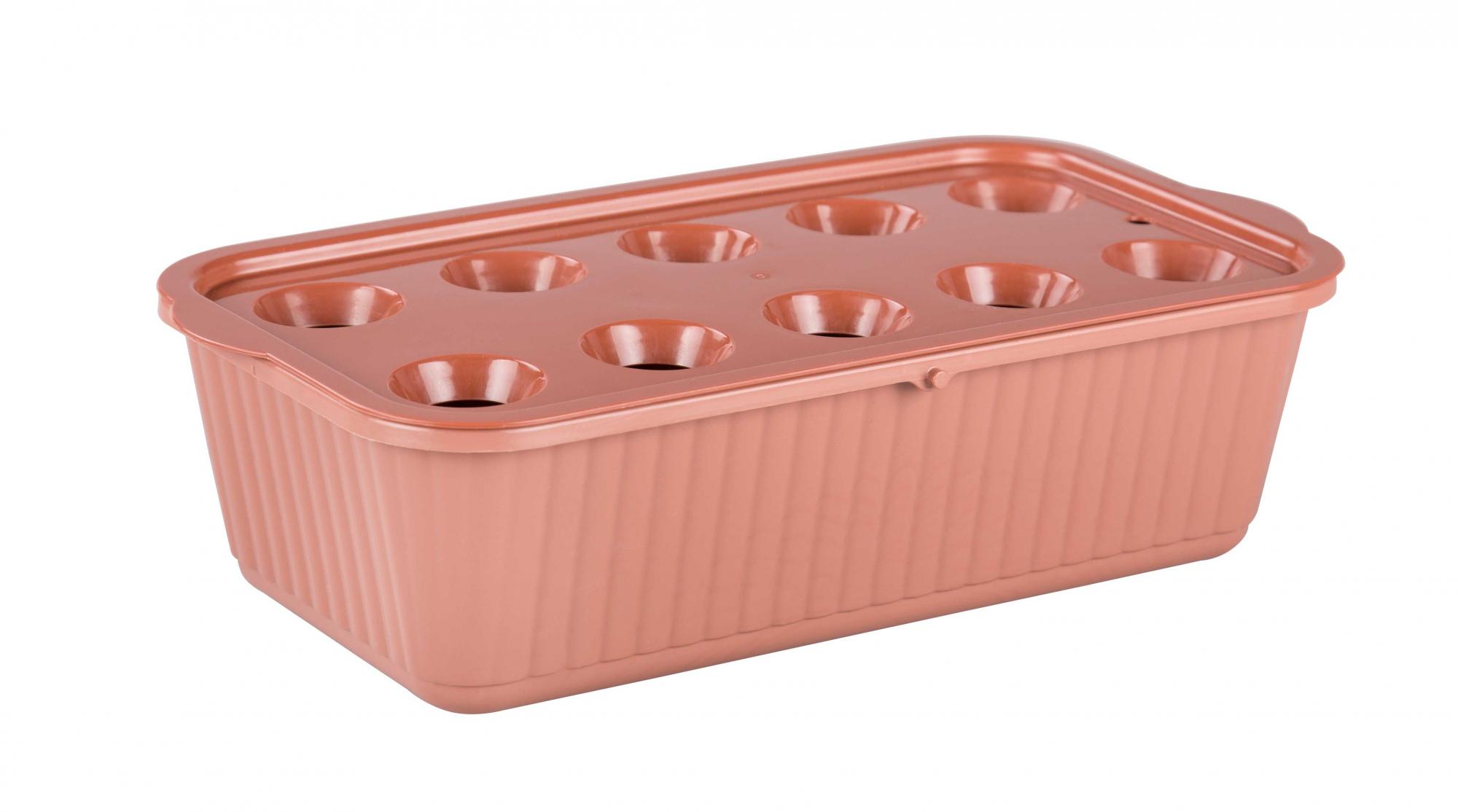 Лоток для выращивания зеленого лука (коричневый) 