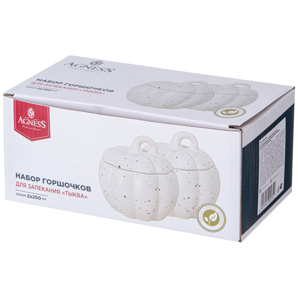 НАБОР ГОРШОЧКОВ ДЛЯ ЗАПЕКАНИЯ С КРЫШКОЙ, ТЫКВА, ИЗ 2-Х ШТ. ПО 250 МЛ