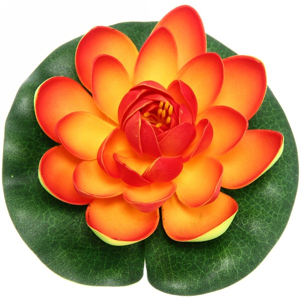 Растение водоплавающее "Кувшинка Розитта" d-15см оранжевая