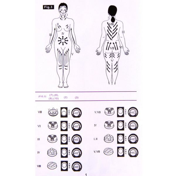 Массажер для тела "Slim body" универсальный (5 насадок), 220В