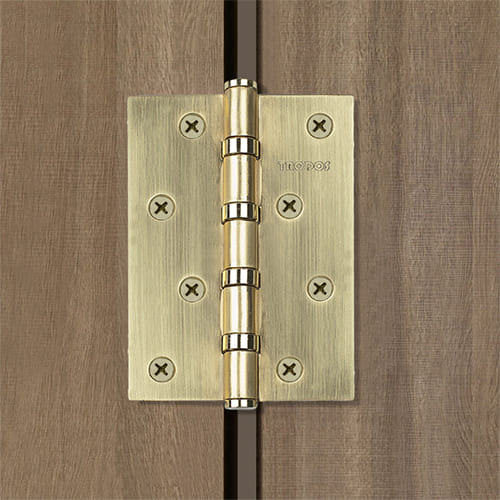 Петля накладная Trodos 100х70х2,5 б/к, золото матовый