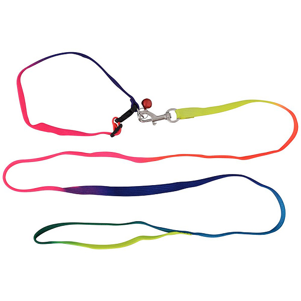 Поводок с ошейником и бубенчиком "Радуга". Размер S. 