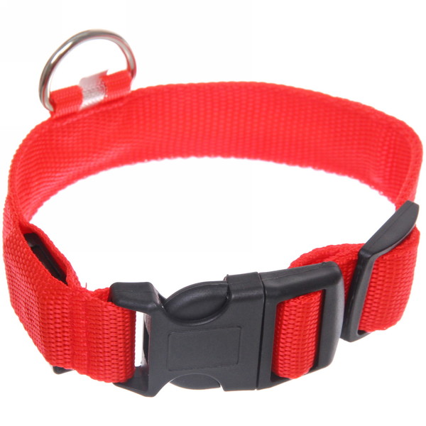 Ошейник с подсветкой и кольцом для жетона для малых пород собак "Бро видно", цвет красный, размер S - 2,5*30см (лейбл)