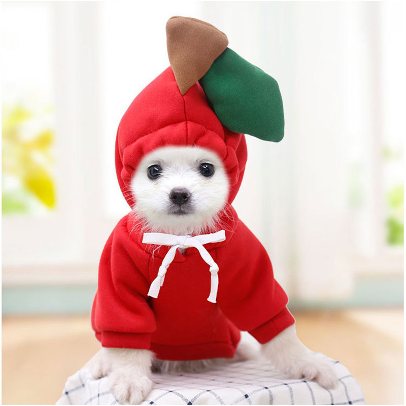 Кофта-толстовка для собаки "Wonderful style-Яблоко" с капюшоном, размер 2XL (62*45*26см) Ultramarine