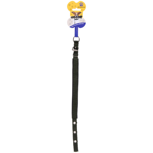 Ошейник для собак однотонный "ЗООЛЕНД БРО", цвет хаки, 1,5*43см (бирка)