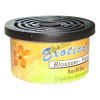 Ароматизатор ж/б Exotica Цветущий сад. Exotica Scent Counter Display Blossom (Exotica) ESC24-BLO