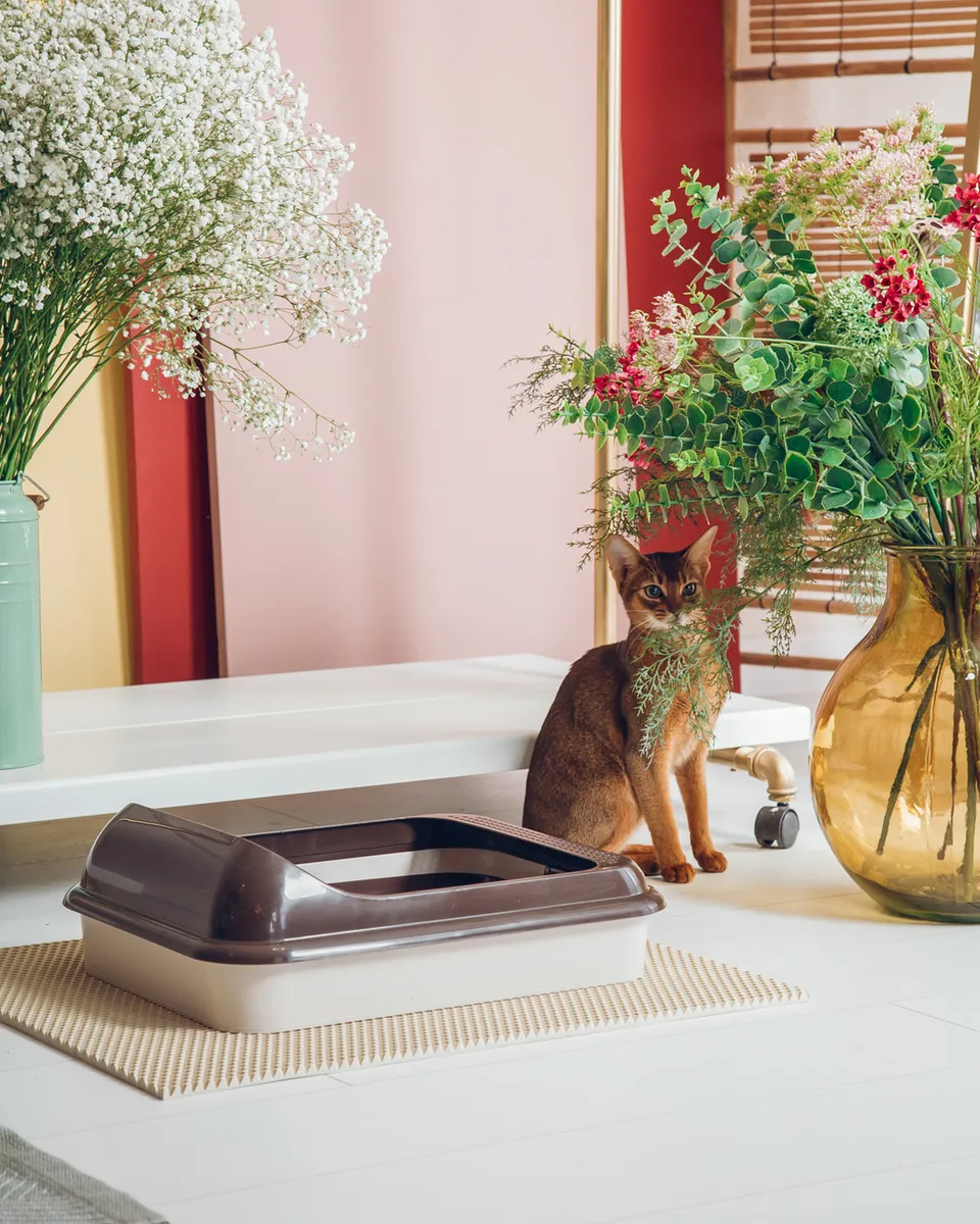 Лоток ALTA "Верный друг" (с решеткой)(сл.кость) 