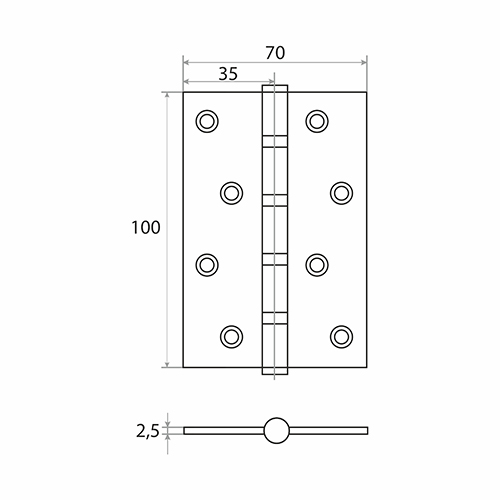 Петля накладная Trodos 100х70х2,5 б/к, золото матовый