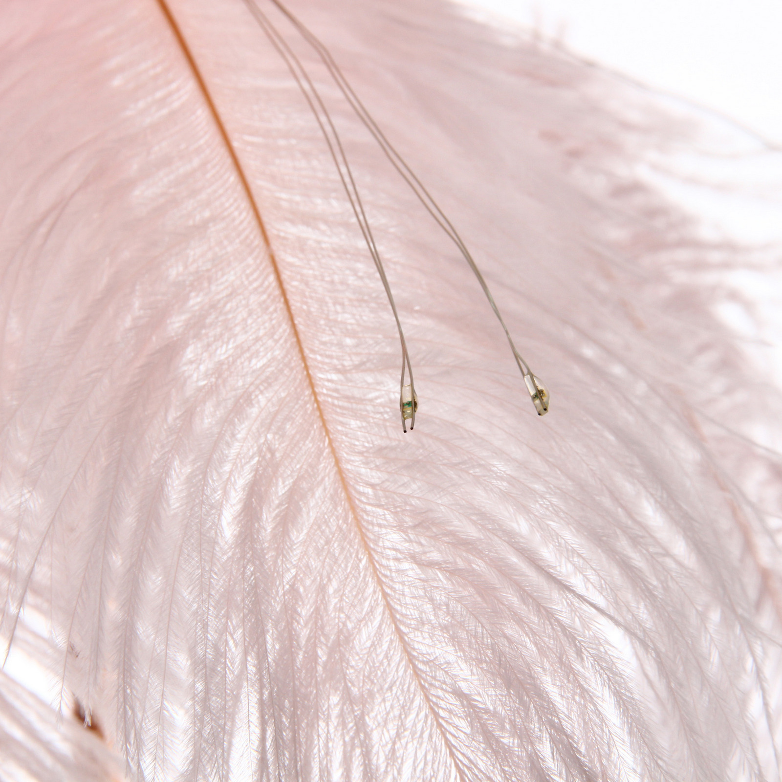 Фигура световая "Волшебное перо" 35 см 80 ламп LED на батарейках, 1 реж, USB питание, Розовый