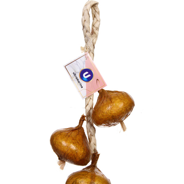 Муляж "Лук золотой" связка 60см