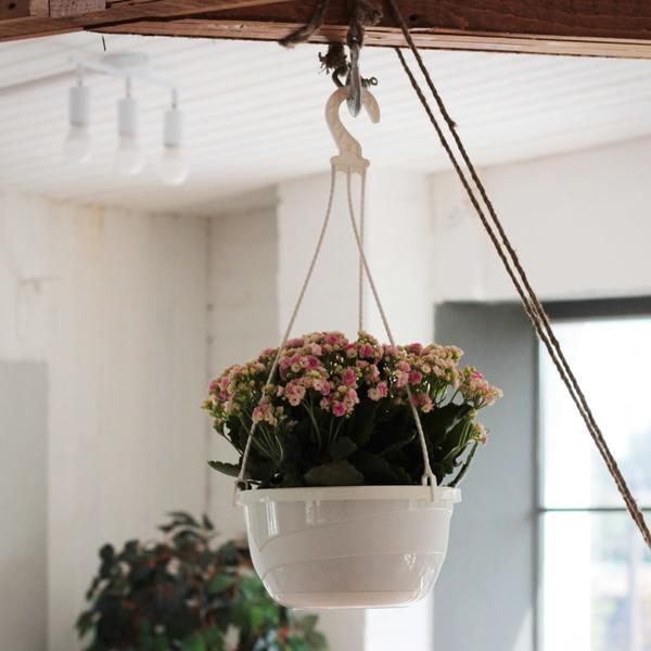 Горшок для цветов пластиковый 4,7л d-25см "Мальва" подвесной терракотовый