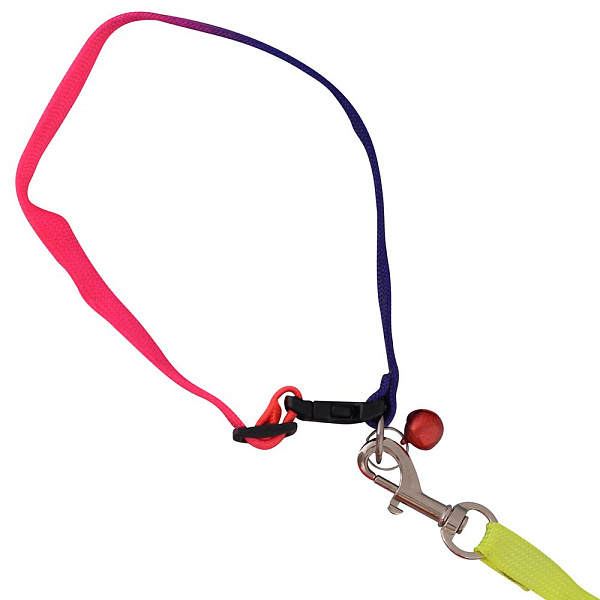 Поводок с ошейником и бубенчиком "Радуга". Размер S. 