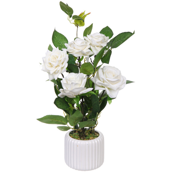 Цветочная композиция "Розовый куст" 43см в горшке, цвет белый