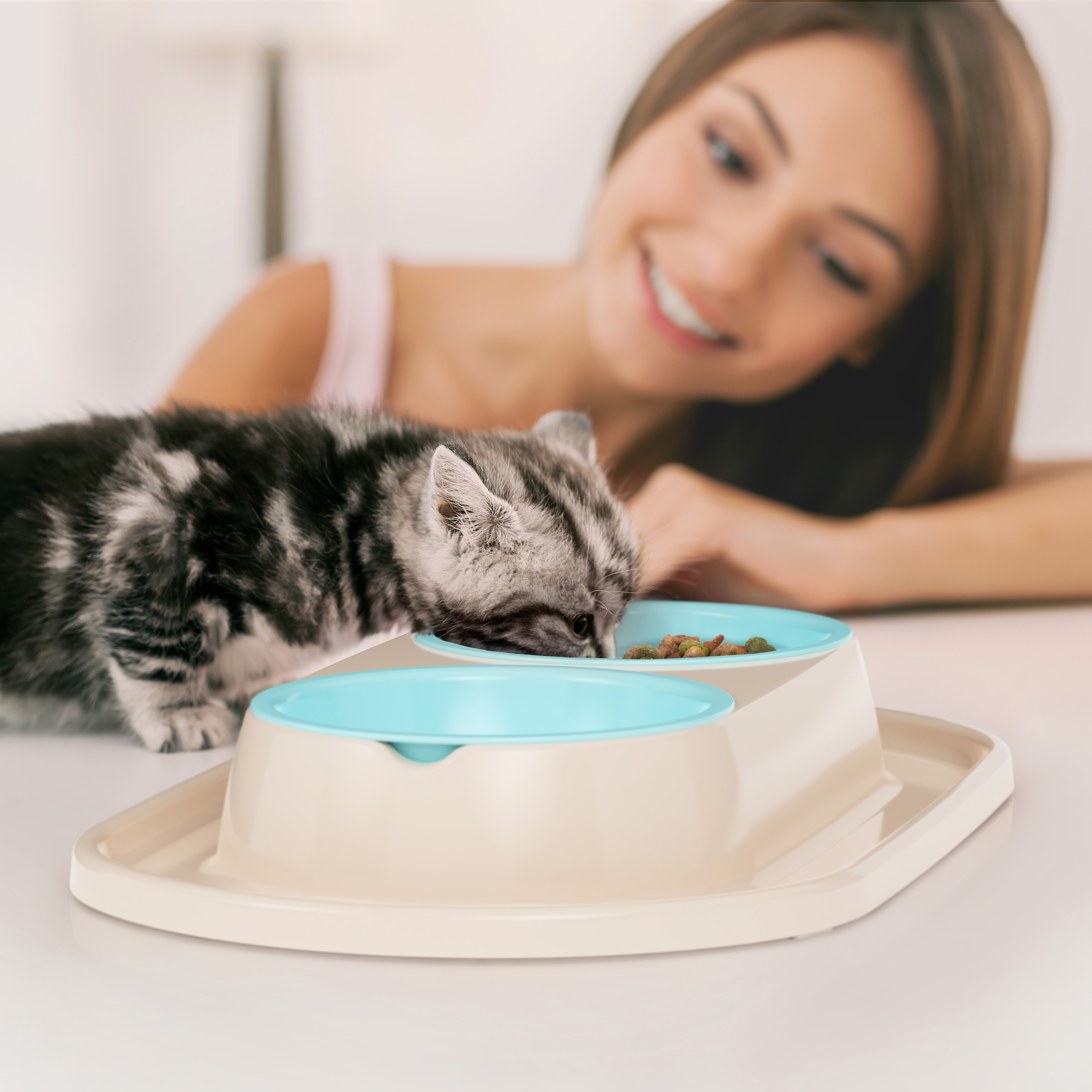 Миска ALTA для животных "Мур-мяу" 0,3л двойная (на подставке)(св.бежевый) 