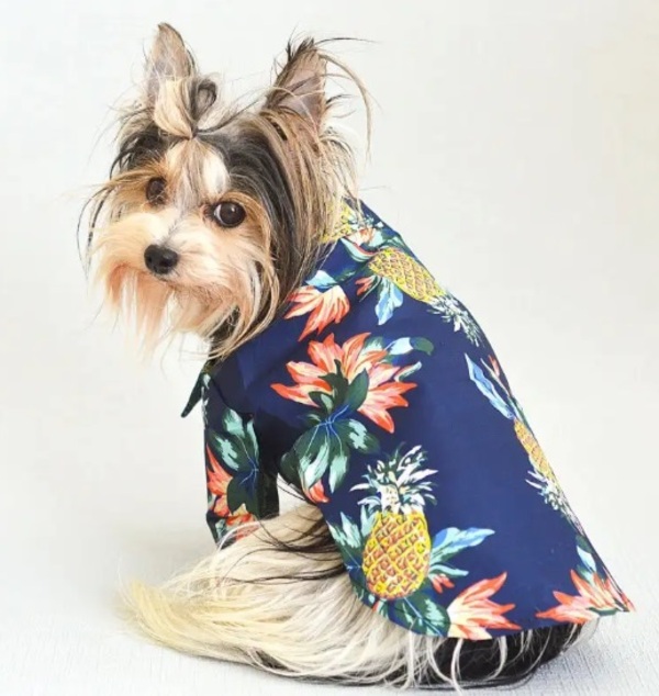 Рубашка для собак и кошек малых и средних пород "СТИЛЬНЫЙ БРО", цвет красный, принт ананасы с цветами, размер S