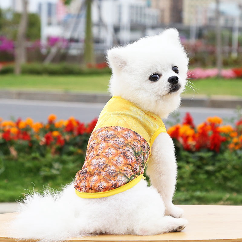 Майка для собаки "Тропикана-Сладкий Ананас" размер XL (22*40*23см) Ultramarine