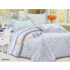 Комплект постельного белья 1,5-й "Satin collection(прост145х215,под.143х215,нав.2шт70х70Минимализм