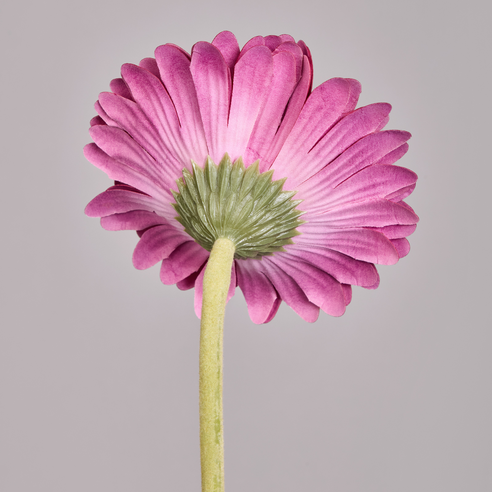 ЦВЕТОК ИСКУССТВЕННЫЙ, ГЕРБЕРА, ВЫСОТА=61СМ., МАЛ=24 ШТ/КОР=96ШТ.