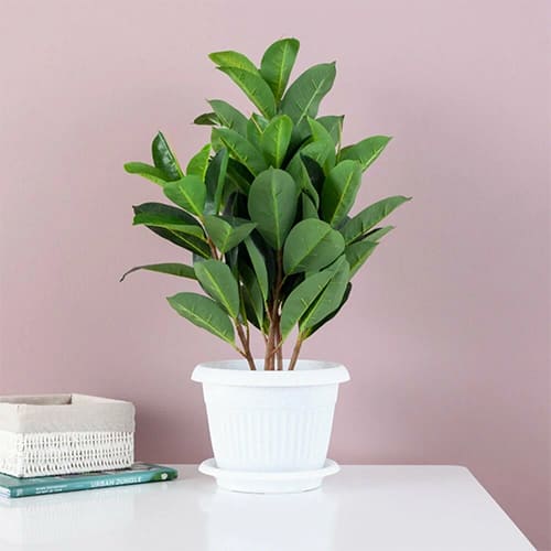 Горшок для цветов Ливия d-240мм 4,6л мраморный, с поддоном, 1/20